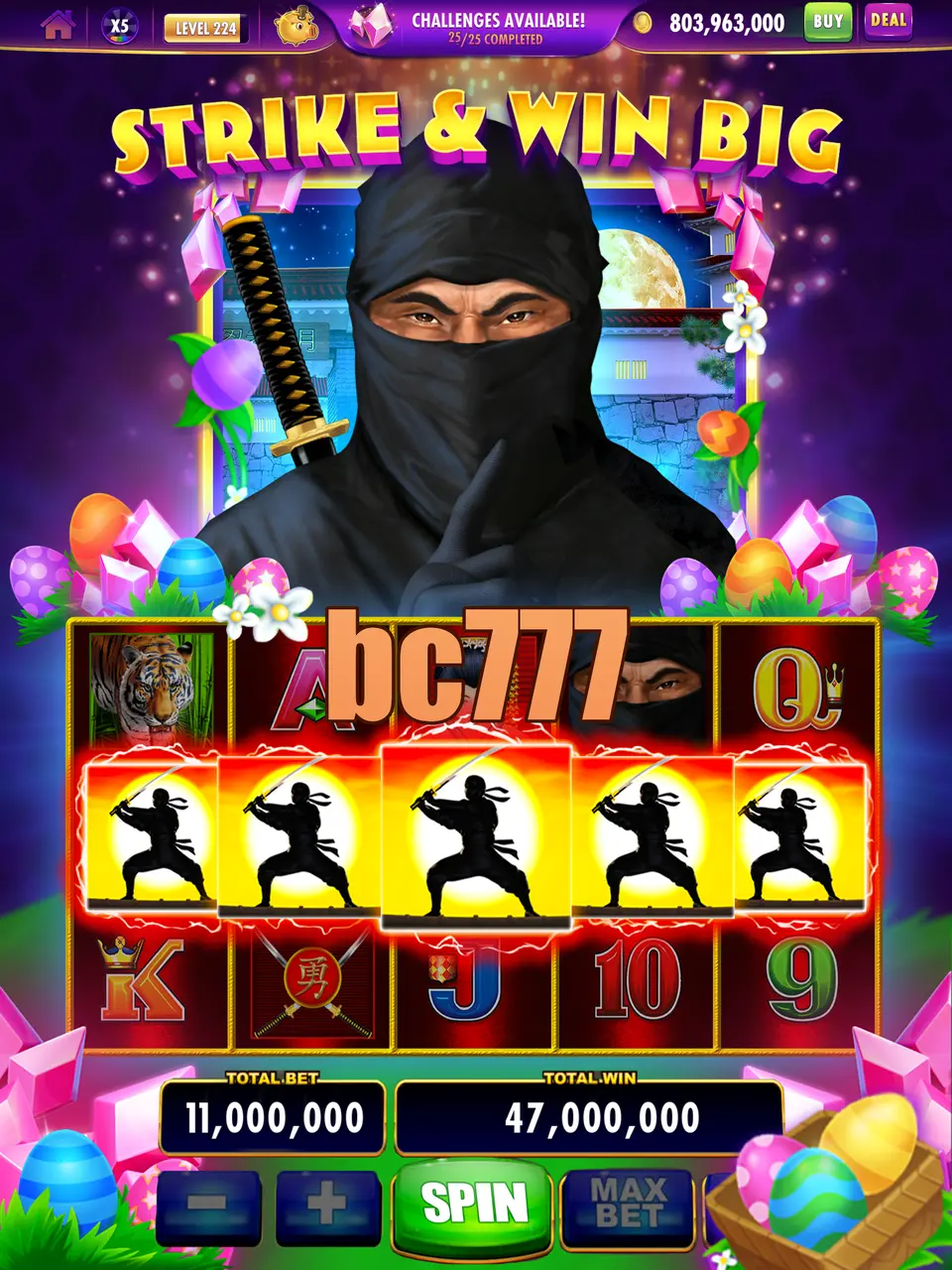 bc777 Preview
